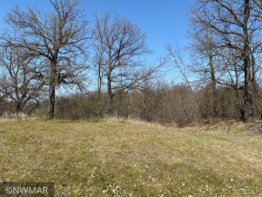 301 Robson Court, Thief River Falls, MN 56701