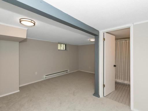 Lower level family room with all new carpet, paint, and lighting.