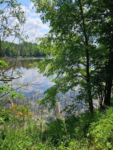 lot15 Hooper Creek Loop, Baudette, MN 56623