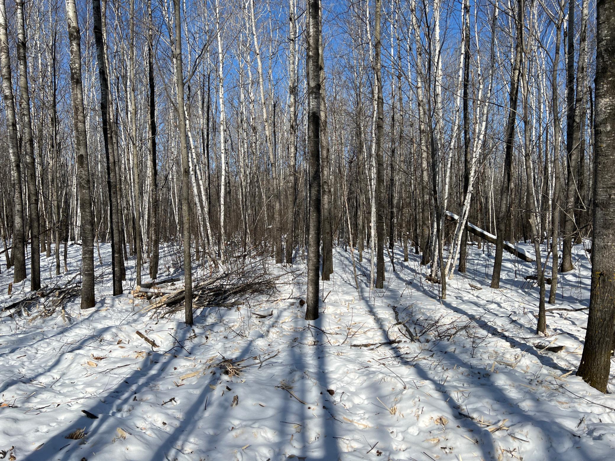 Photo for NA 290th, Brook Park, MN 55007 - Listing #6148311 NA 290th, Brook Park, MN 55007