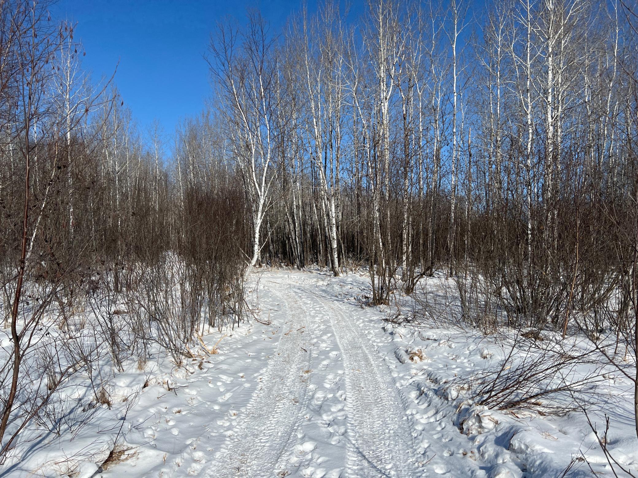 Photo for NA 290th, Brook Park, MN 55007 - Listing #6148311 NA 290th, Brook Park, MN 55007