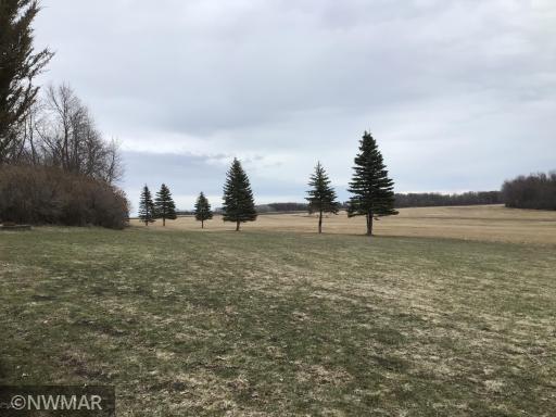 Photo for 22379 380th Street SE, Erskine, MN 56535 - Listing #5606318 22379 380th Street SE, Erskine, MN 56535