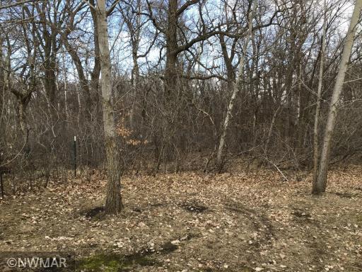 Photo for 22379 380th Street SE, Erskine, MN 56535 - Listing #5606318 22379 380th Street SE, Erskine, MN 56535