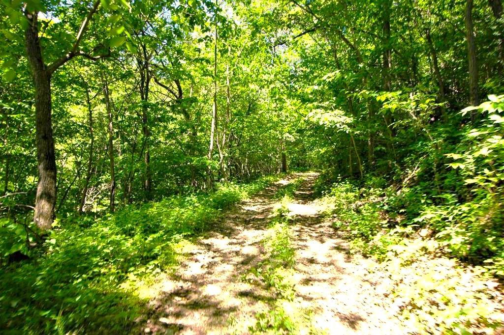 Photo for 642 Ridge Street, De Soto, WI 54624 - Listing #6436318 642 Ridge Street, De Soto, WI 54624