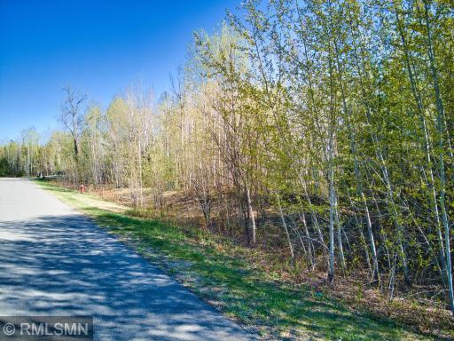 Photo for TBD Birch Lane S, Coleraine, MN 55722 - Listing #6010321 TBD Birch Lane S, Coleraine, MN 55722