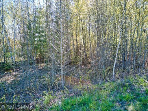 Photo for TBD Birch Lane S, Coleraine, MN 55722 - Listing #6010321 TBD Birch Lane S, Coleraine, MN 55722