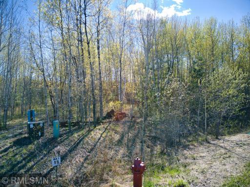 Photo for TBD Birch Lane S, Coleraine, MN 55722 - Listing #6010321 TBD Birch Lane S, Coleraine, MN 55722
