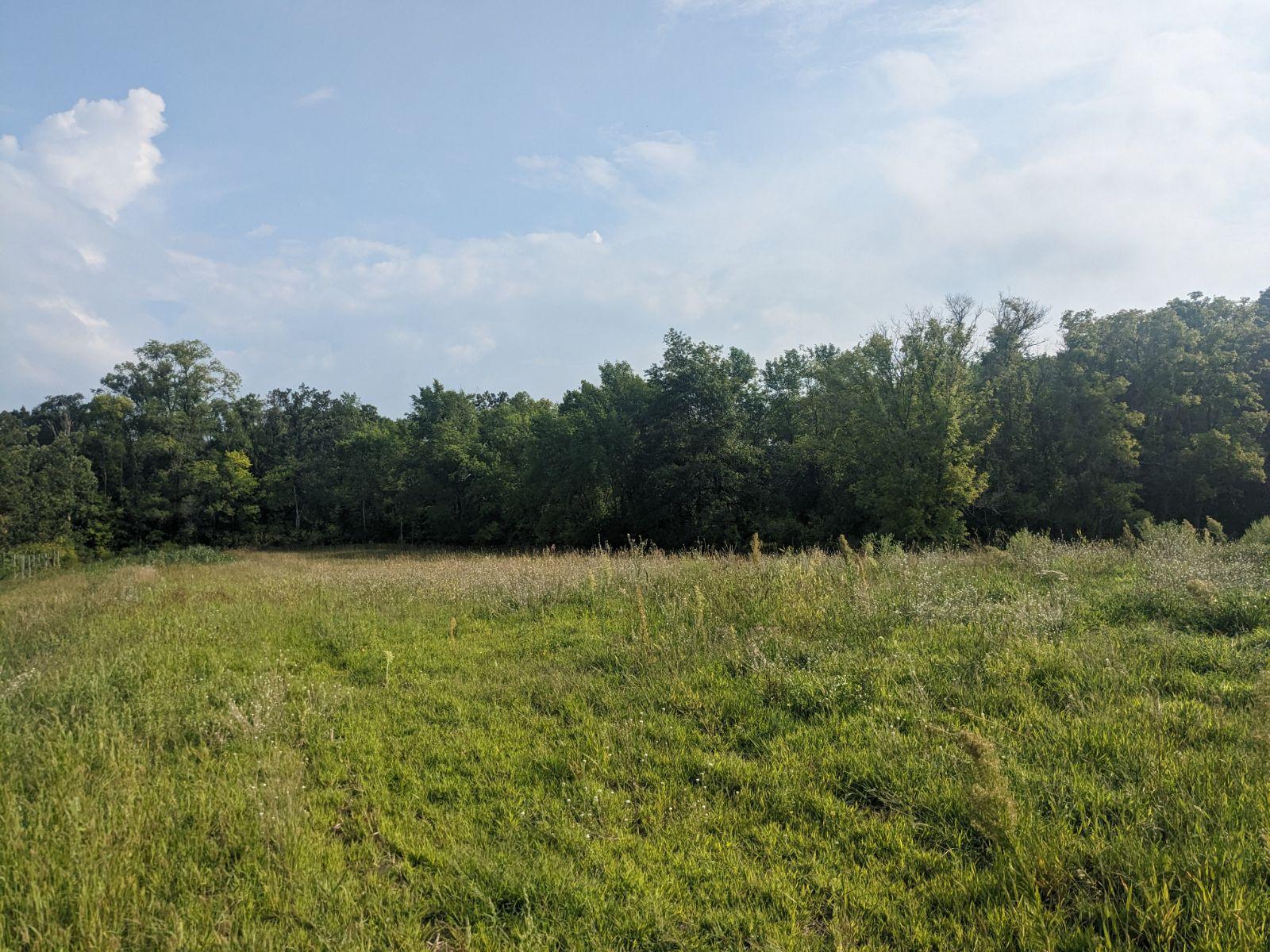 Photo for XXX 145th Street NW, Annandale, MN 55302 - Listing #6413345 XXX 145th Street NW, Annandale, MN 55302