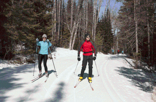 World class cross country ski trails at Giants Ridge.