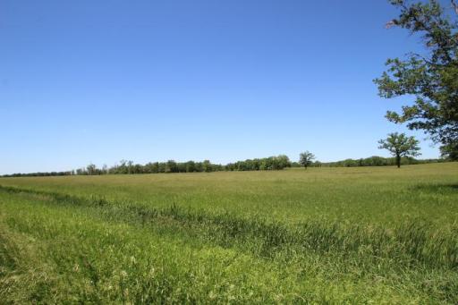 3xxxx 93rd Street, Pierz, MN 56364