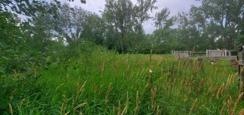 Photo for 000 Marina Rd, Fergus Falls, MN 56537 - Listing #6235350 000 Marina Rd, Fergus Falls, MN 56537