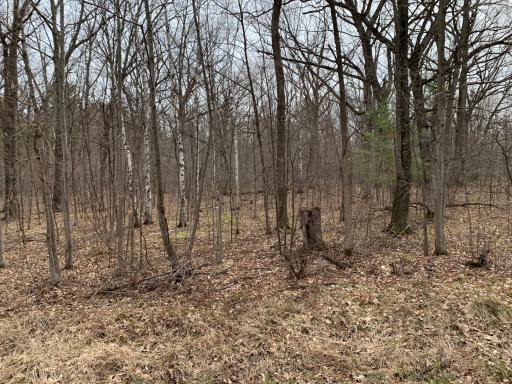 all lots copy(3).jpeg