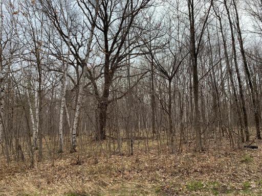 lots 1 thru 9(3).jpeg