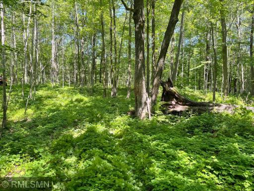 Photo for 070023100 328th Lane, Aitkin, MN 56431 - Listing #6245363 070023100 328th Lane, Aitkin, MN 56431