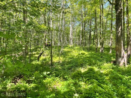 Photo for 070023100 328th Lane, Aitkin, MN 56431 - Listing #6245363 070023100 328th Lane, Aitkin, MN 56431