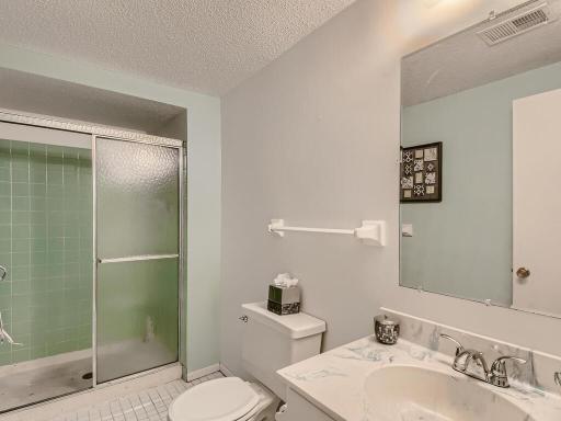 4418 Arden View Court Arden-022-013-Lower Level Bathroom-MLS_Size