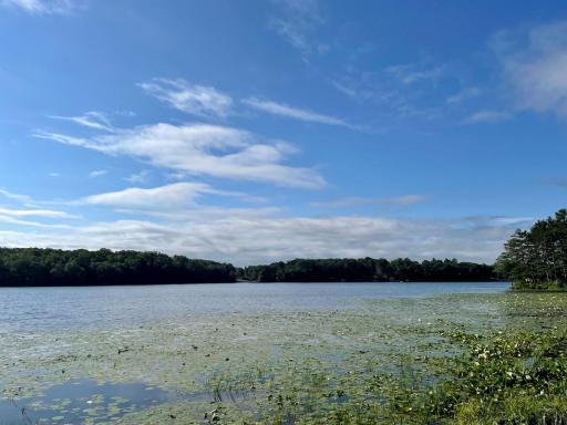 Photo for XXX(0000) 100th Street, Amery, WI 54001 - Listing #6231380 XXX(0000) 100th Street, Amery, WI 54001