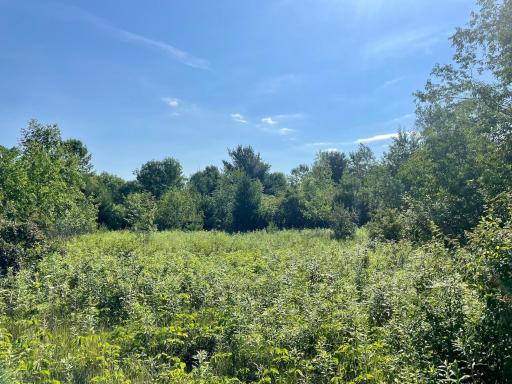 Photo for XXX(0000) 100th Street, Amery, WI 54001 - Listing #6231380 XXX(0000) 100th Street, Amery, WI 54001