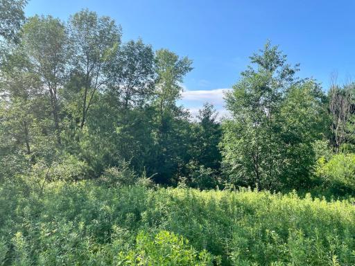 Photo for XXX(0000) 100th Street, Amery, WI 54001 - Listing #6231380 XXX(0000) 100th Street, Amery, WI 54001