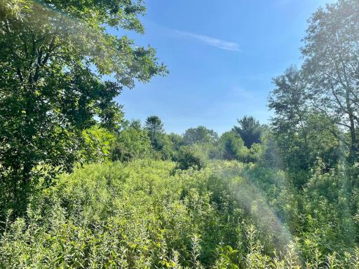 Photo for XXX(0000) 100th Street, Amery, WI 54001 - Listing #6231380 XXX(0000) 100th Street, Amery, WI 54001