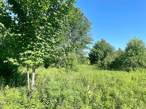 Photo for XXX(0000) 100th Street, Amery, WI 54001 - Listing #6231380 XXX(0000) 100th Street, Amery, WI 54001