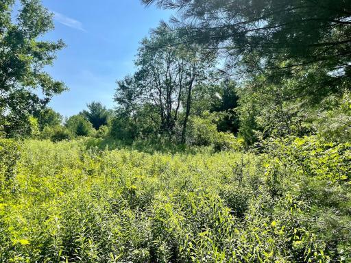 Photo for XXX(0000) 100th Street, Amery, WI 54001 - Listing #6231380 XXX(0000) 100th Street, Amery, WI 54001