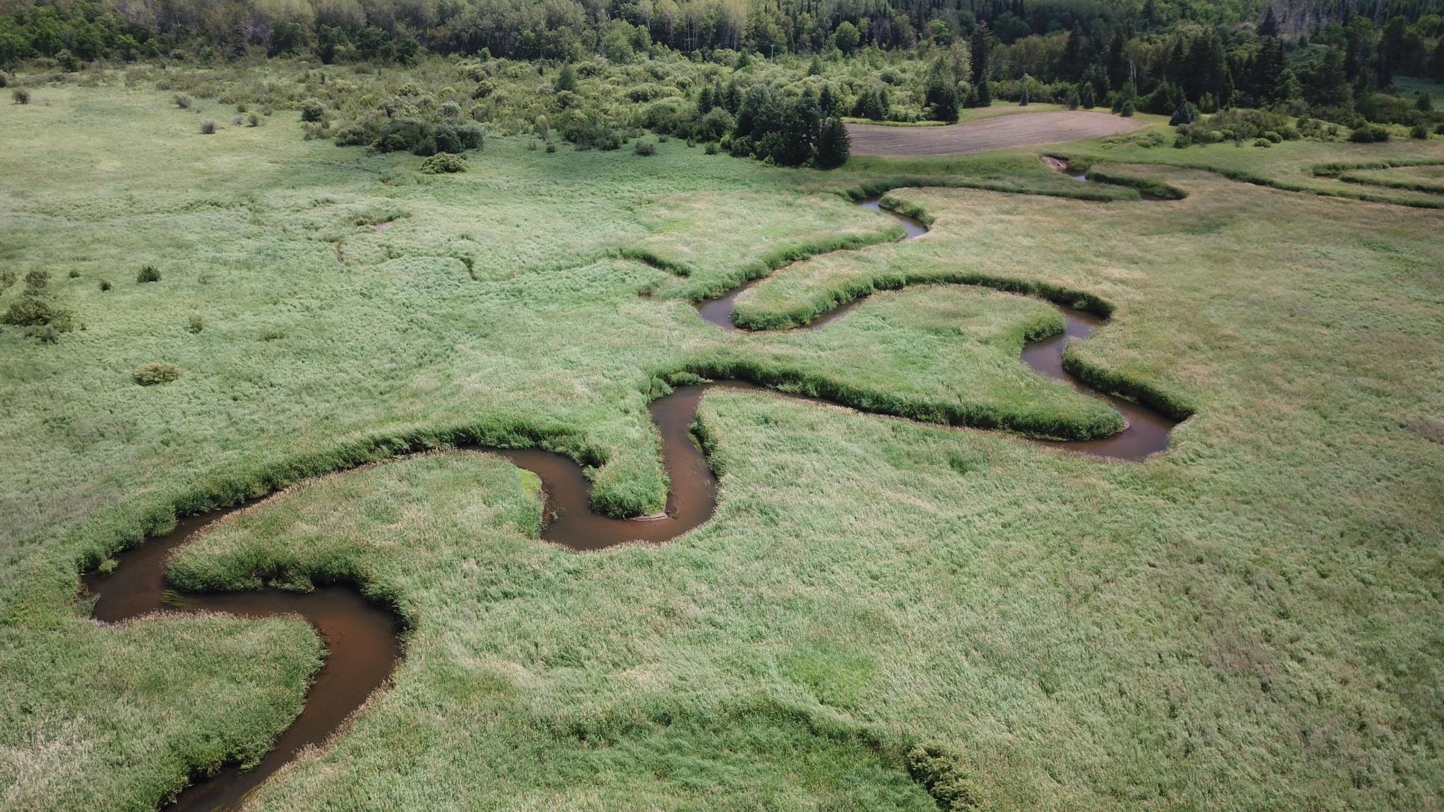 Pic #8.JPG