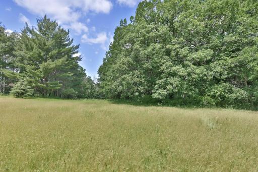 The lot is open and wooded.