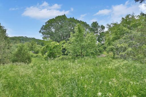 This area is a knoll great for a walkout lower level.