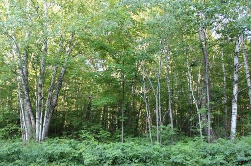 Lot 2 Nuthatch Avenue, Aitkin, MN 56431