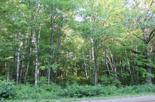 Lot 2 Nuthatch Avenue, Aitkin, MN 56431