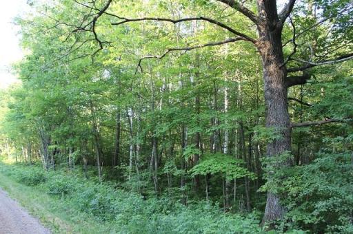 Lot 2 Nuthatch Avenue, Aitkin, MN 56431