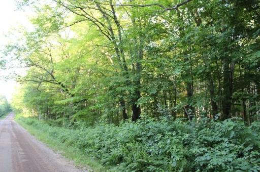 Lot 2 Nuthatch Avenue, Aitkin, MN 56431