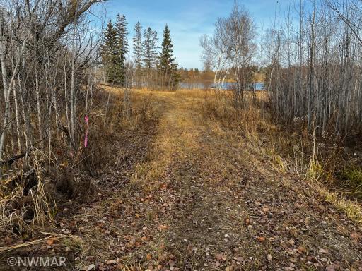 TBD Spruce Grove Road SE, Lengby, MN 56651