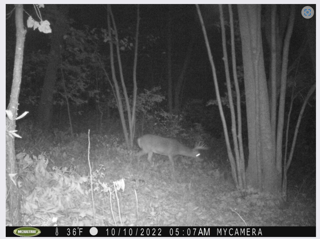 Screenshot 2022-10-20 113908.png