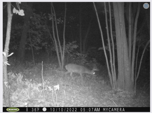 Screenshot 2022-10-20 113908.png