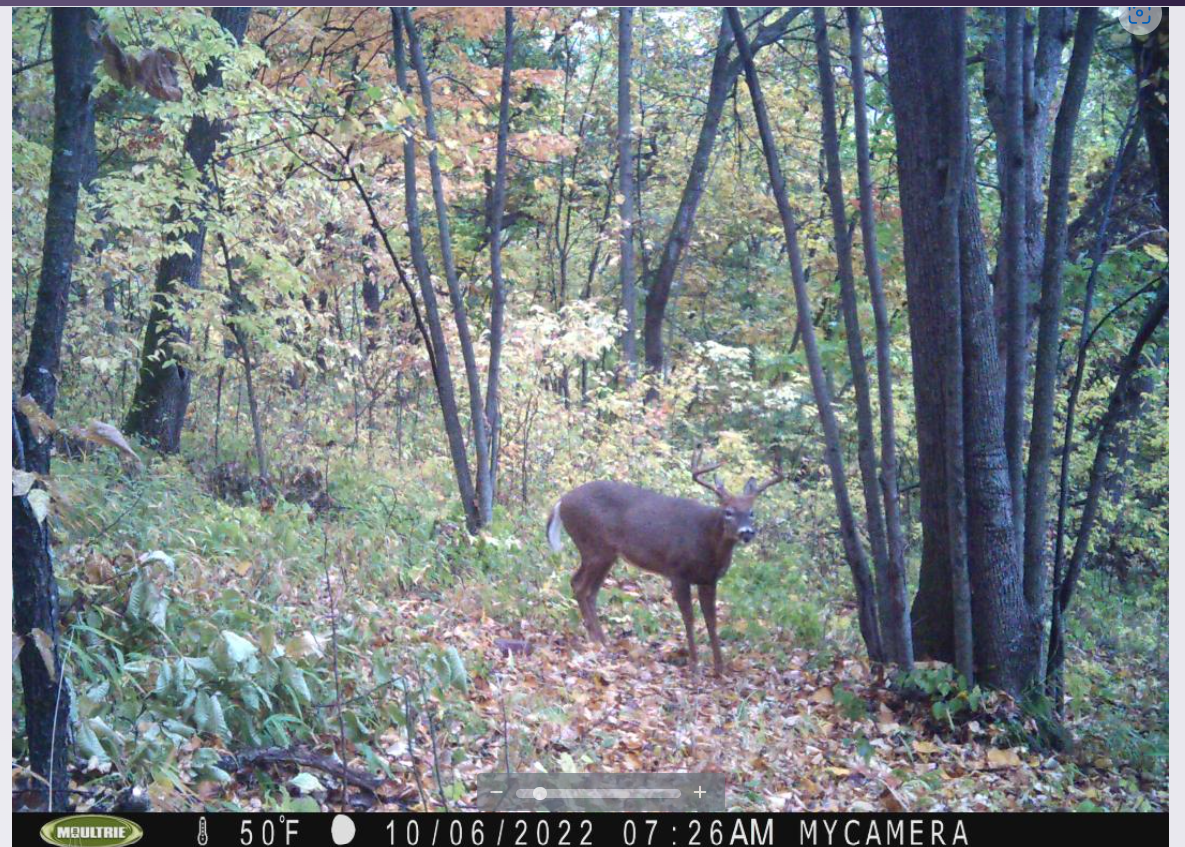 Screenshot 2022-10-20 113831.png