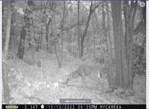 Screenshot 2022-10-20 114119.png