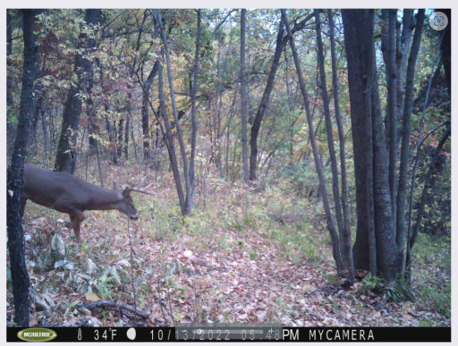 Screenshot 2022-10-20 114036.png