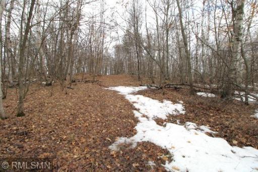 xxx Buchite Road, Fifty Lakes, MN 56448