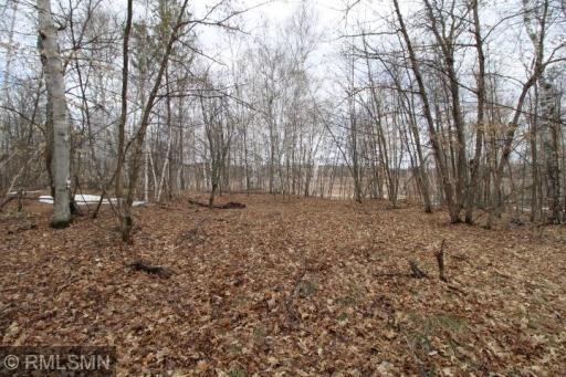 xxx Buchite Road, Fifty Lakes, MN 56448
