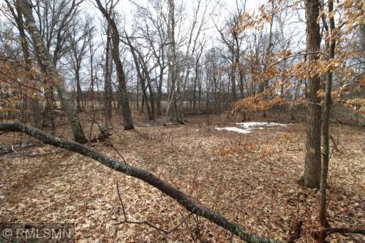 xxx Buchite Road, Fifty Lakes, MN 56448