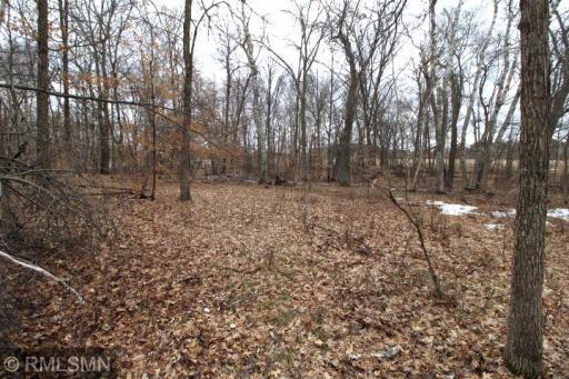 xxx Buchite Road, Fifty Lakes, MN 56448