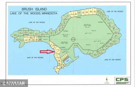 Tract 1 Brush Island, Angle Inlet, MN 56711