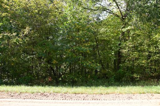 Lot 16 Pine Island Pt Dr, Browerville, MN 56438