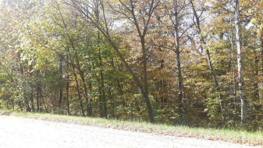 Lot 17 Pine Island Pt Dr, Browerville, MN 56438