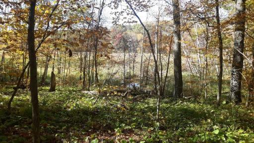 Lot 17 Pine Island Pt Dr, Browerville, MN 56438
