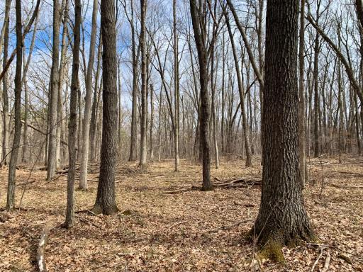 all lots 1 to 9(5).jpeg