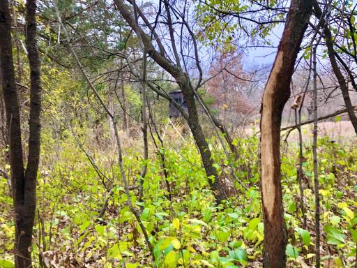 TBD 200 Gunflint Rd, Chatfield, MN 55923