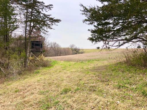 TBD 200 Gunflint Rd, Chatfield, MN 55923